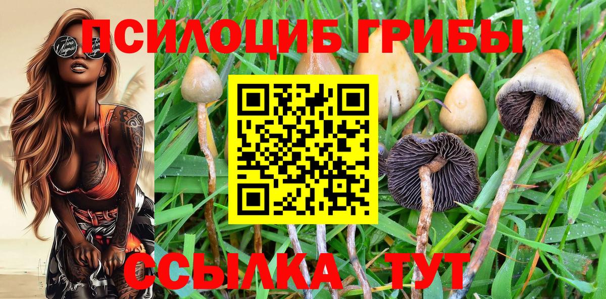 Псилоцибиновые грибы Cubensis  закладка  Шали  Вход с VPN  Галлюциногенные грибы Cubensis 